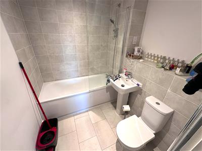 Picture 12